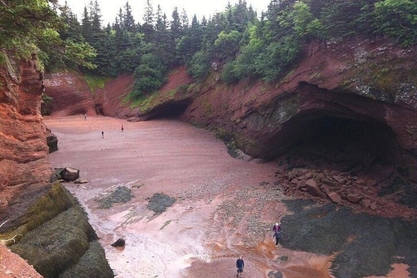 Bay of Fundy Tour by Bus 2