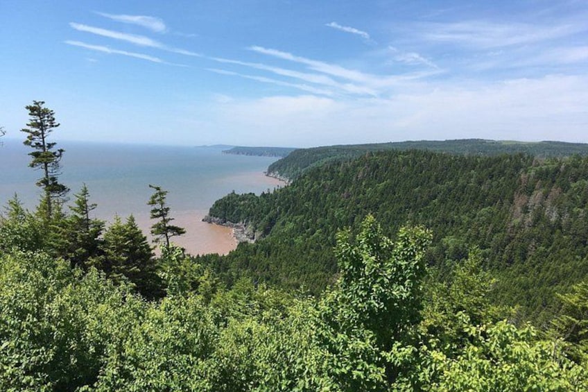 Bay of Fundy Tour by Bus 1