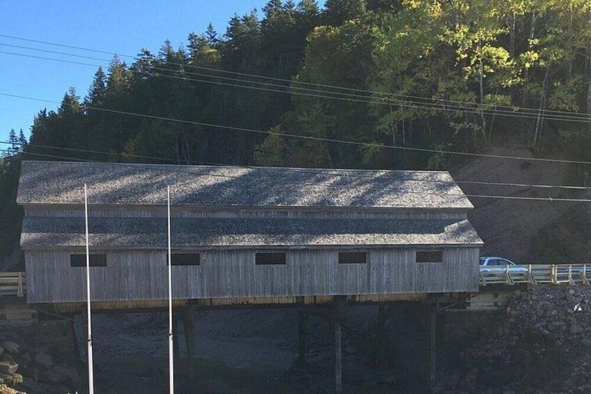 Bay of Fundy Tour by Bus 4