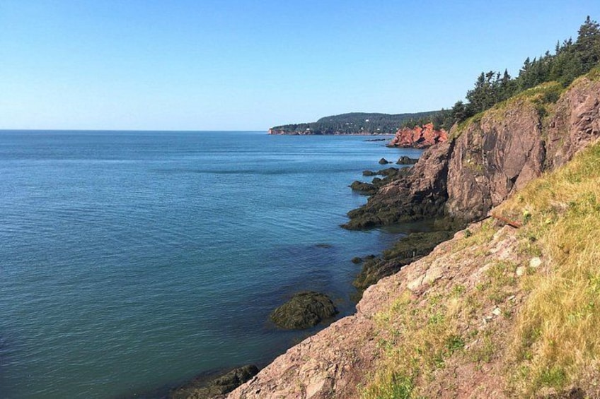 Bay of Fundy Tour by Bus 2