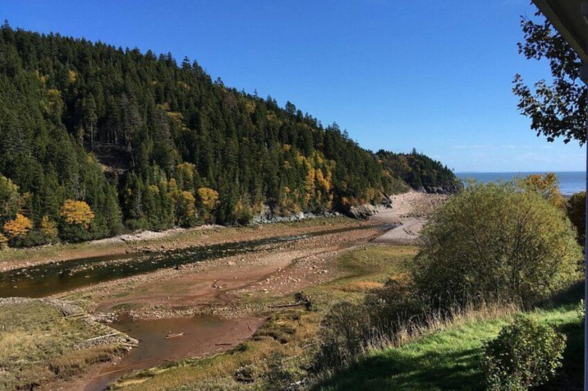 Bay of Fundy Tour by Bus 5