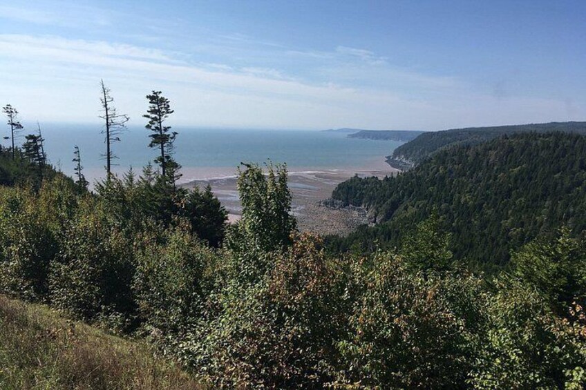 Bay of Fundy Tour by Bus 4