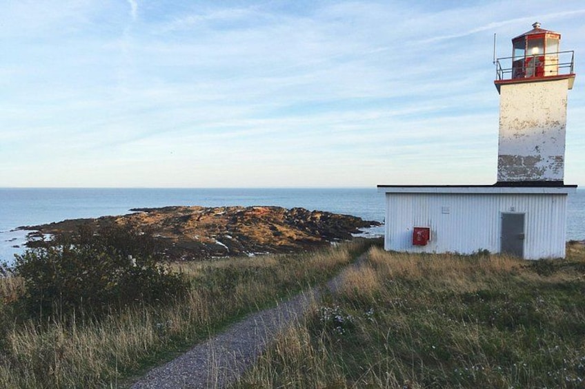 Bay of Fundy Tour by Bus 2