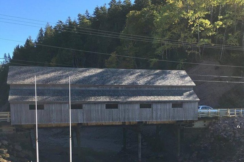 Bay of Fundy Tour by Bus 3