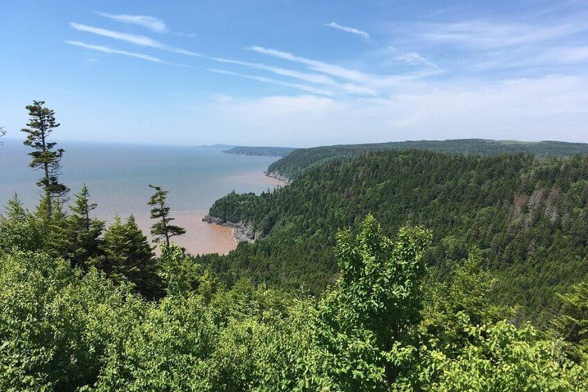 Bay of Fundy Tour by Bus 1