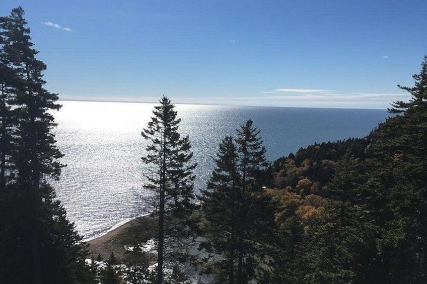Bay of Fundy Tour by Bus 4