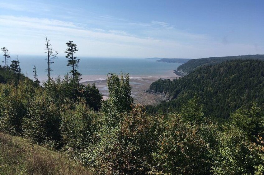 A coastal landscape with dense forest, a beach, and a clear sky. 2