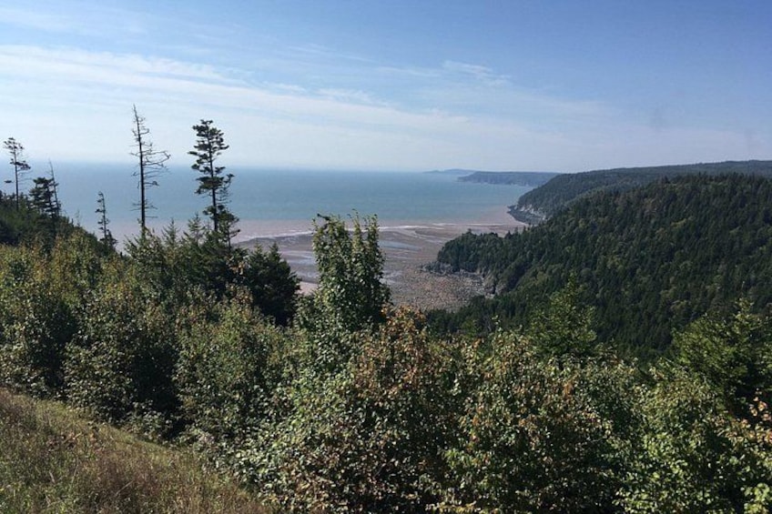Bay of Fundy Tour by Bus 2