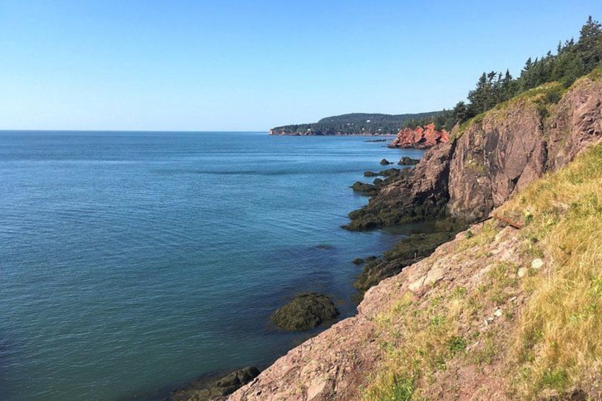 Bay of Fundy Tour by Bus 4