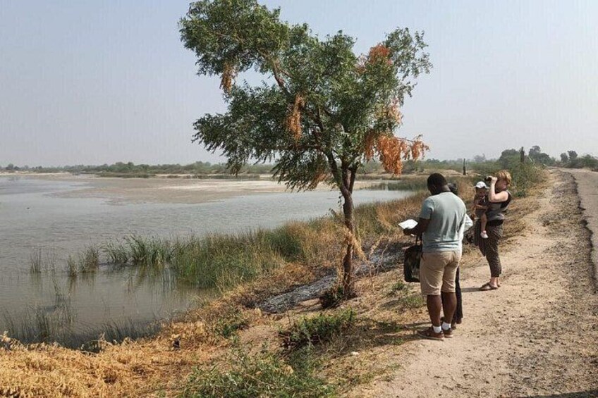 A riverbank with a dirt path, a tree, and two people taking a photo. 5