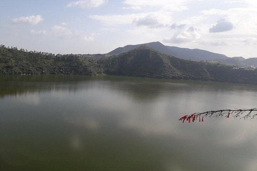 A calm lake with a mountain in the background and a branch with red flowers in the foreground. 3