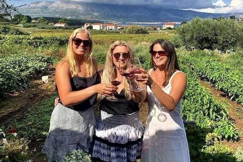 Wine tour Korčula - private tour 1