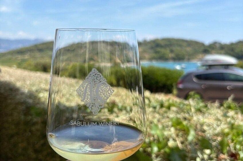 Wine tour Korčula - private tour 2