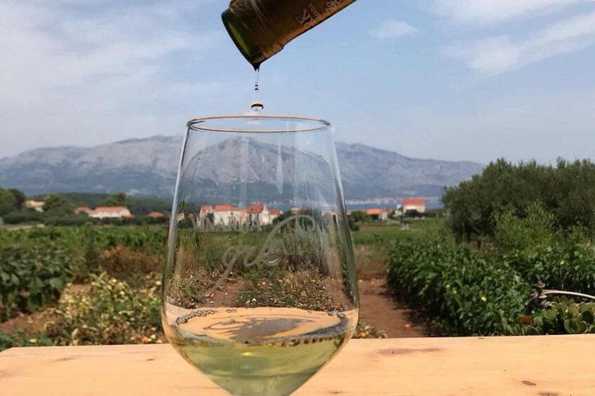 Wine tour Korčula - private tour 3