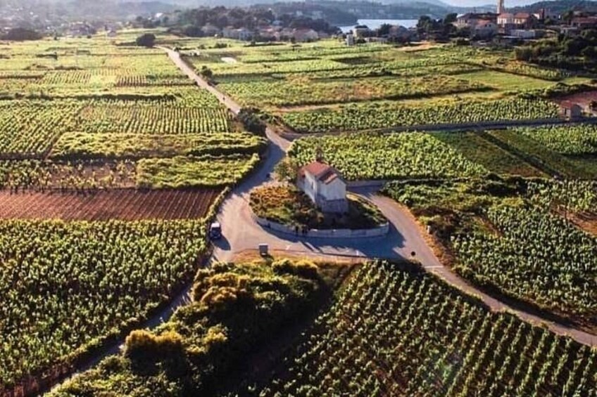 Wine tour Korčula - private tour 5