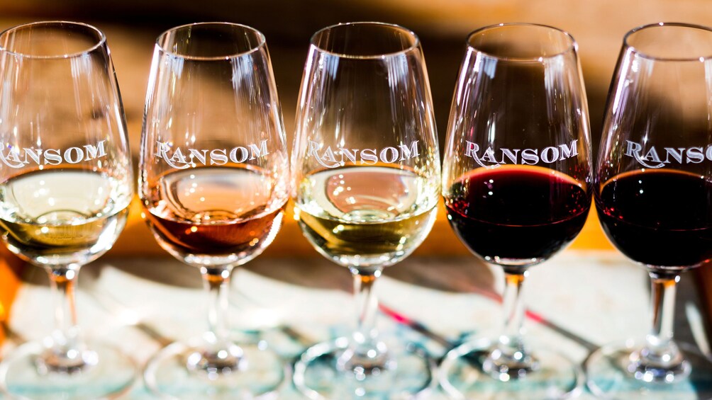 Five wine glasses with 'Ransom' engraved on them, containing different types of wine. 3