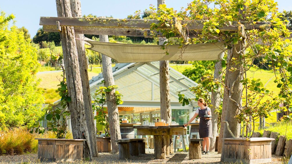 A rustic outdoor café with wooden tables and a canopy, surrounded by trees and a greenhouse in the background. 1