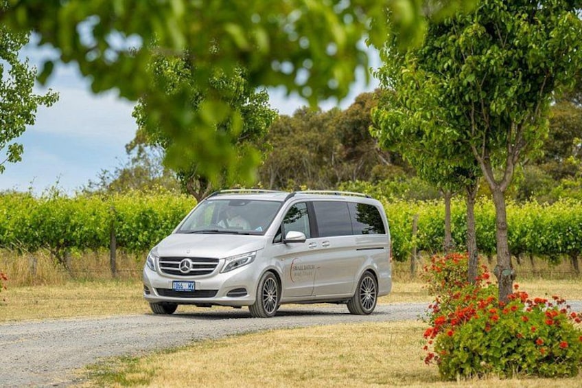 Una furgoneta Mercedes-Benz Sprinter plateada estacionada en un camino rural, con viñedos al fondo. 4