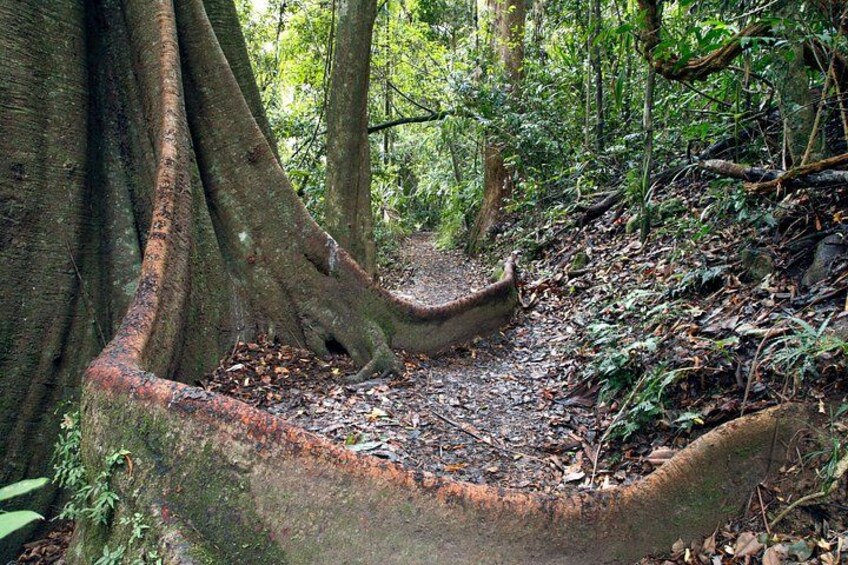 Gold Coast Day Tour From Brisbane 5