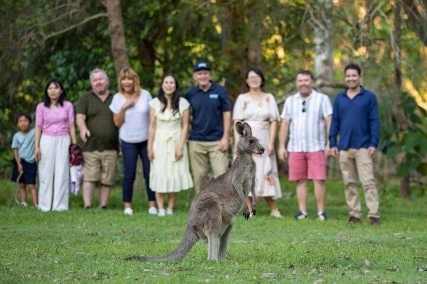 Gold Coast Day Tour From Brisbane 2