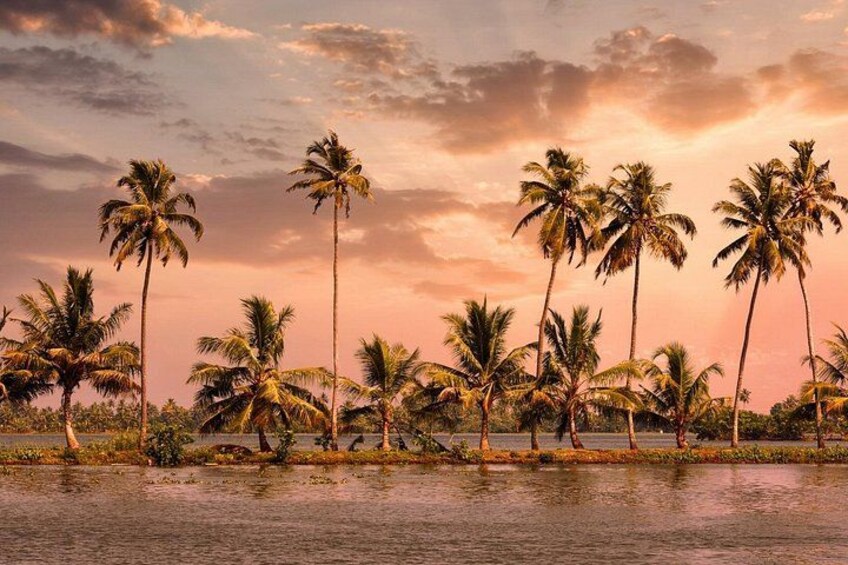 4 Days Best of Kerala Tour with Private Houseboat, Sightseeing & Car 2