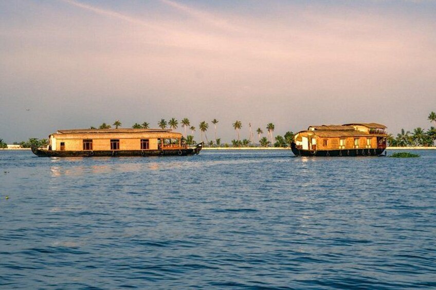 Two houseboats on a calm river with palm trees in the background. 3
