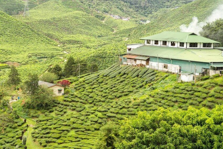 4 Days Best of Kerala Tour with Private Houseboat, Sightseeing & Car 2