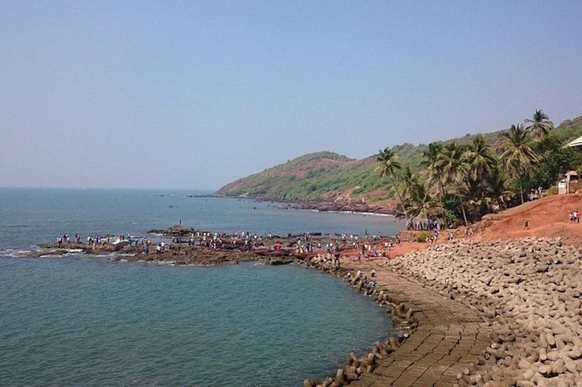 A rocky beach with palm trees, a clear sky, and a calm sea. 2