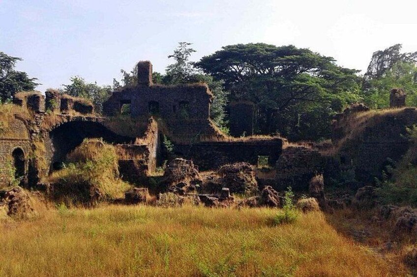 Explore Goa in a Nutshell 2