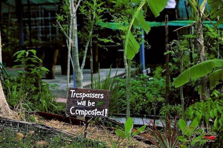 Micro Organic Farm 5