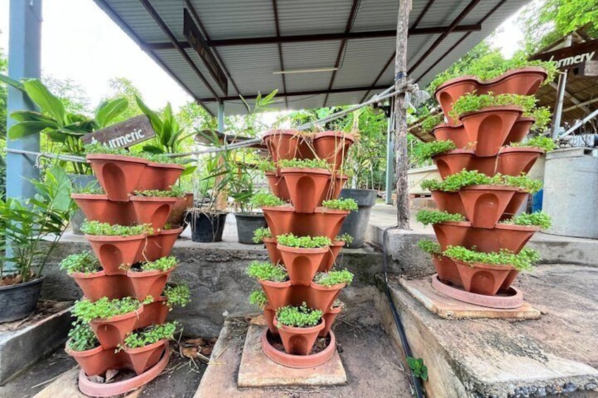 Cooking Class in Koh Samui with Farm Tour 3