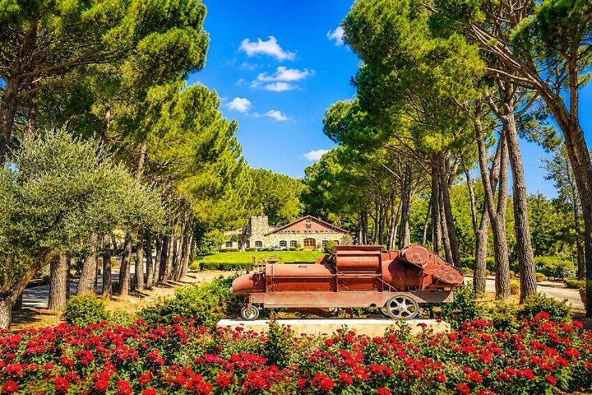 Anjar, Baalbek & Ksara Semi-Private Tour | Max 10 · Lunch Incl 3