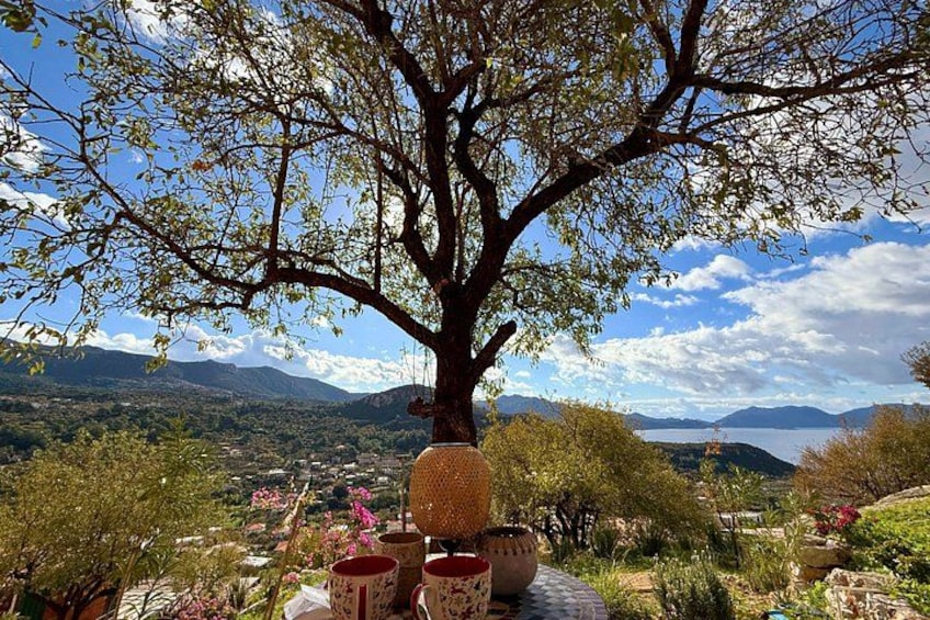 Ein großer Baum mit Blick auf ein Tal und Berge im Hintergrund. 3