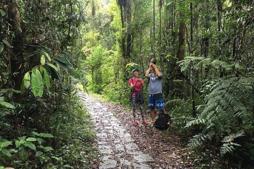 Un sentiero nella foresta con escursionisti. 2