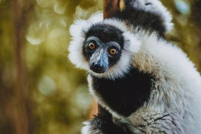 Madagascar Travel Expedition 15 Days/ 14 Nights ( Comfort) 3