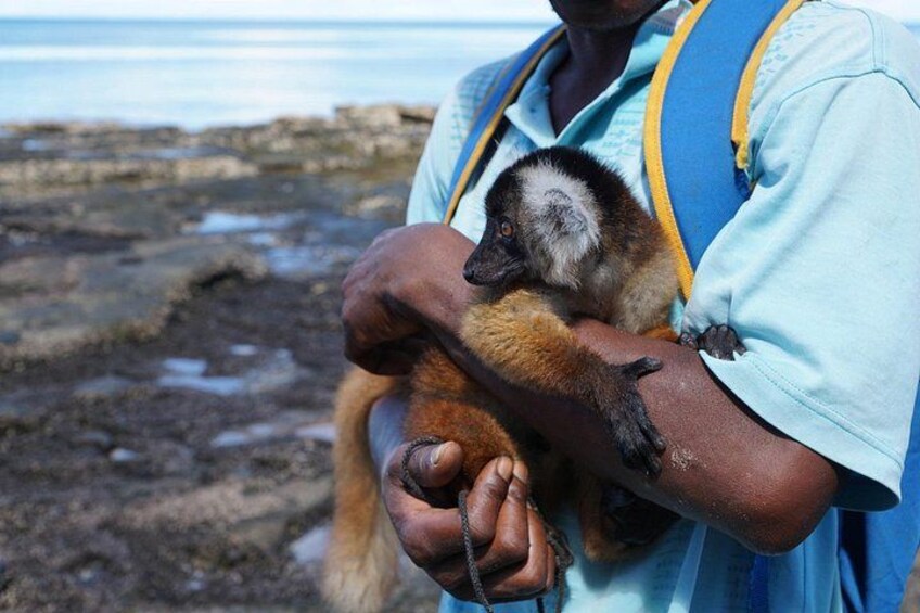 Madagascar Travel Expedition 15 Days/ 14 Nights ( Comfort) 2