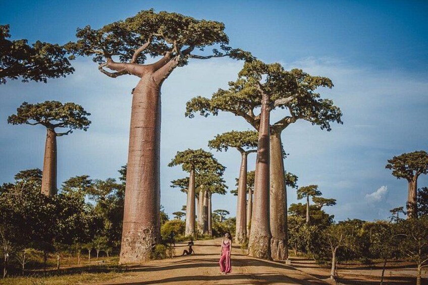 Madagascar Travel Expedition 15 Days/ 14 Nights ( Comfort) 4
