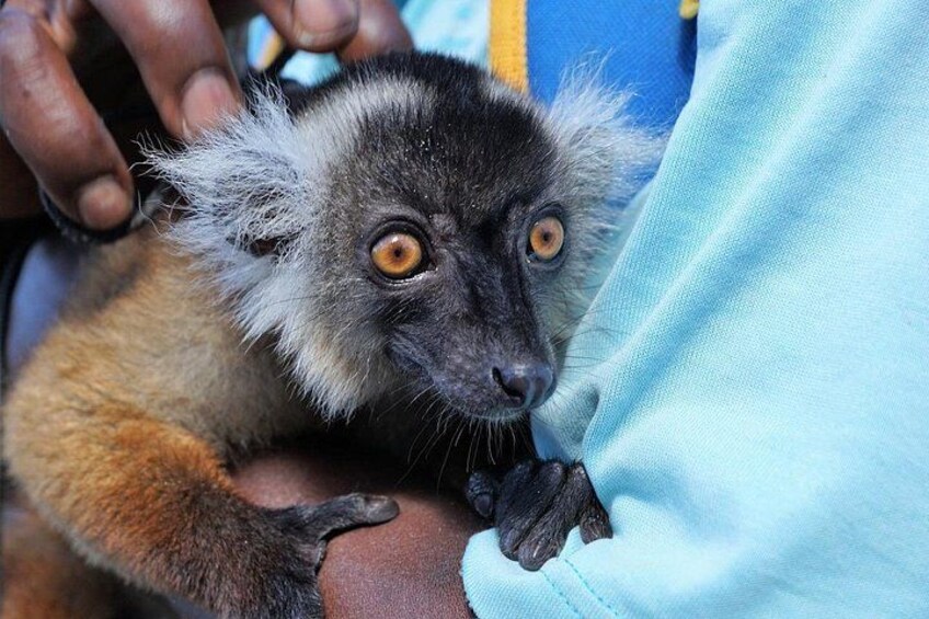 Madagascar Travel Expedition 15 Days/ 14 Nights ( Comfort) 2