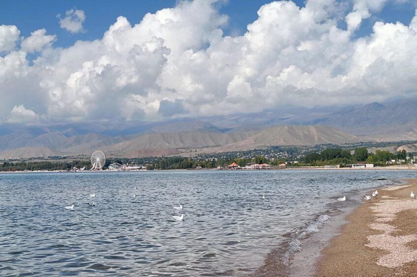 A lake with a beach, swans, and a distant Ferris wheel. 4