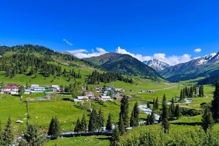 A mountainous landscape with a small village, green fields, and snow-capped peaks. 4