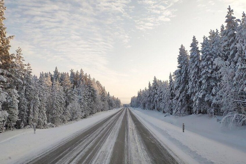 Best Of Lapland: Sauna, Ice swimming, Dinner & Northern Lights 5