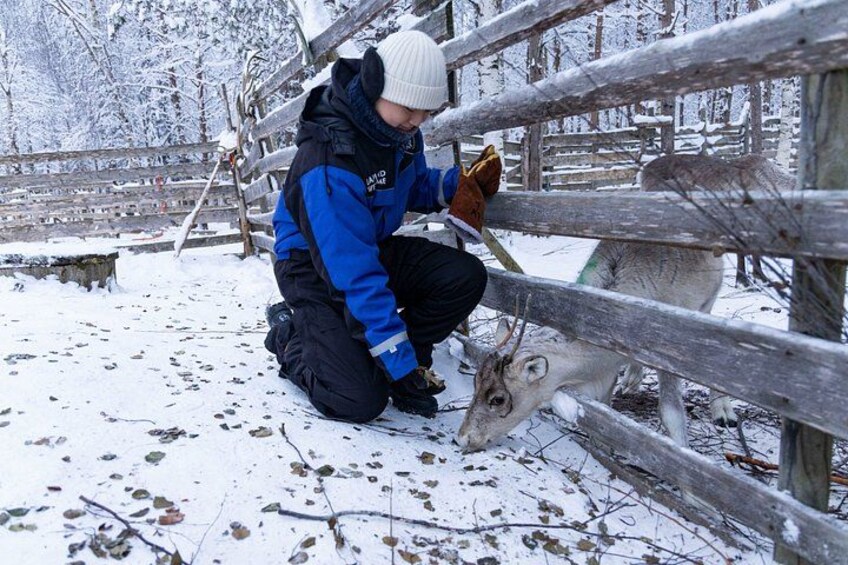 Eine Person, warm eingepackt für den Winter, interagiert mit einem Reh in der Nähe eines Holzzauns in einer verschneiten Landschaft. 3