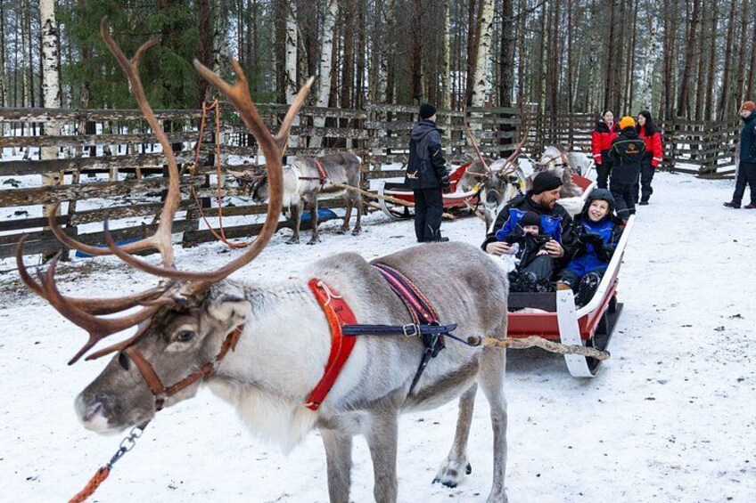 Ein Rentier zieht einen Schlitten mit Personen hindurch, umgeben von einem verschneiten Wald. 5