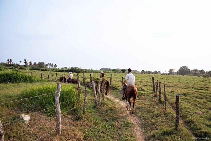River Trail Horseback Riding Adventure 2