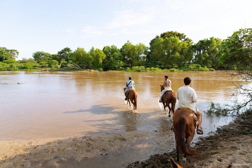 River Trail Horseback Riding Adventure 3