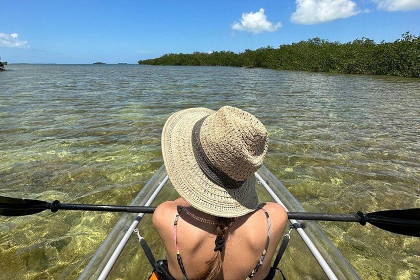 Take in the views from your clear kayak 2