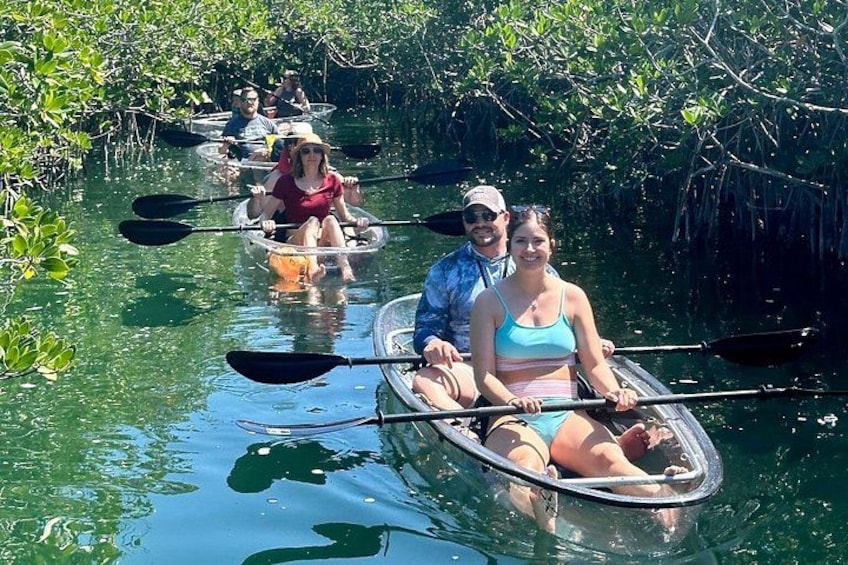Exploring the mangroves 4