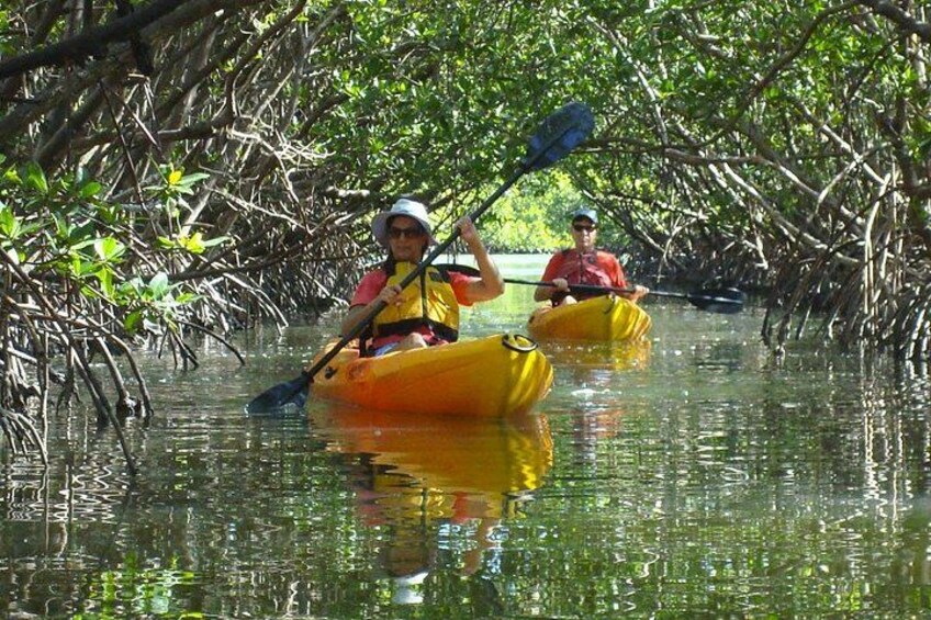 Entrance to our beautiful Mangrove tunnel 5