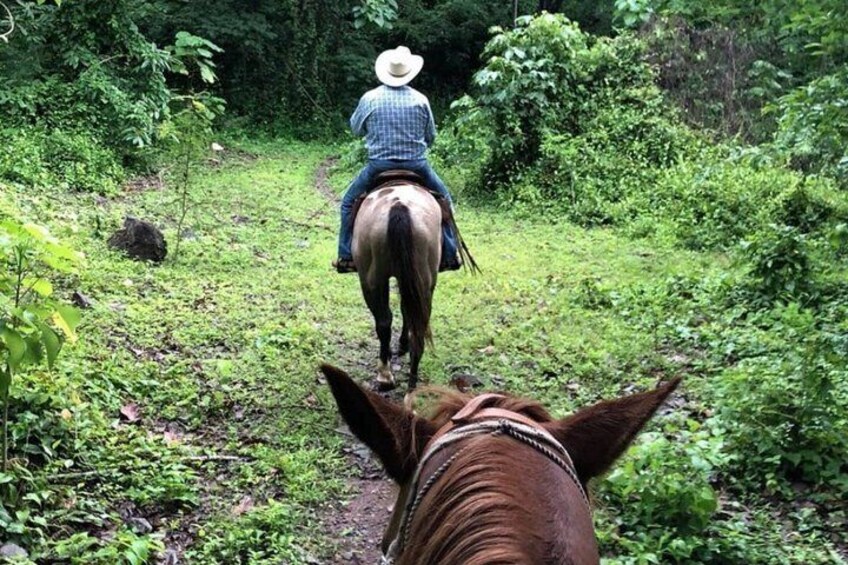 Jungle HorseBack Adventure to Las Palmas Waterfall All Included  5
