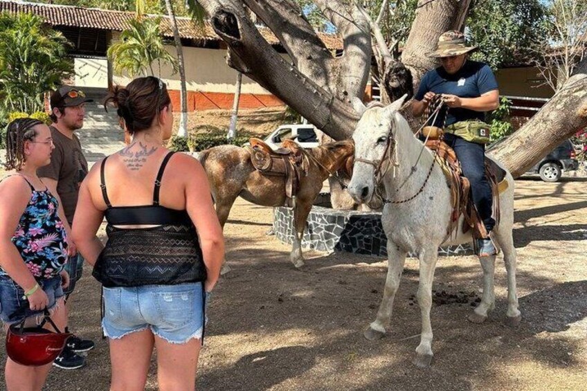 Jungle HorseBack Adventure to Las Palmas Waterfall All Included  2